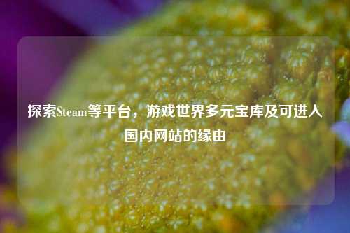 探索Steam等平台，游戏世界多元宝库及可进入国内网站的缘由