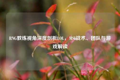 RNG教练视角深度剖析LOL，MSI战术、团队与游戏解读