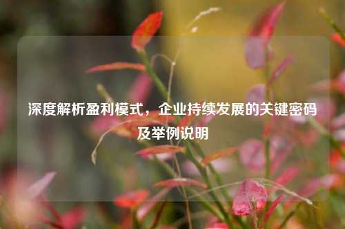 深度解析盈利模式,企业持续发展的关键密码及举例说明
