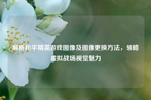 解析和平精英游戏图像及图像更换方法，领略虚拟战场视觉魅力