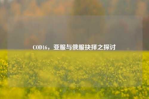 COD16,亚服与俄服抉择之探讨