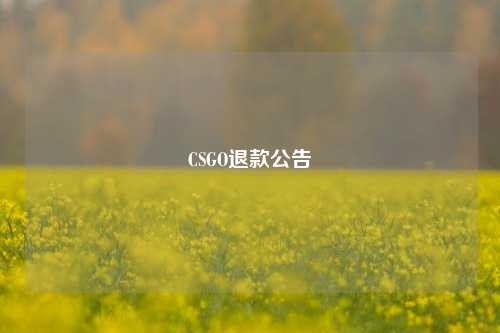 CSGO退款公告