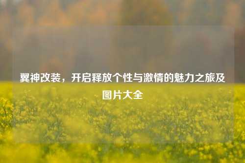 翼神改装，开启释放个性与激情的魅力之旅及图片大全