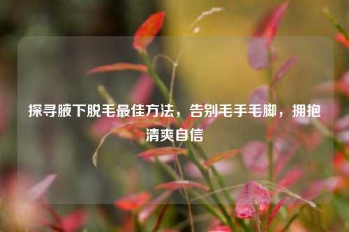 探寻腋下脱毛最佳方法，告别毛手毛脚，拥抱清爽自信