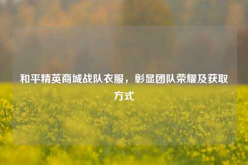 和平精英商城战队衣服，彰显团队荣耀及获取方式