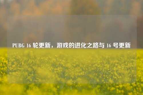 PUBG 16 轮更新，游戏的进化之路与 16 号更新