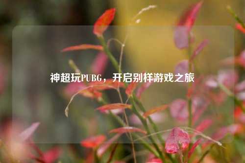神超玩PUBG，开启别样游戏之旅