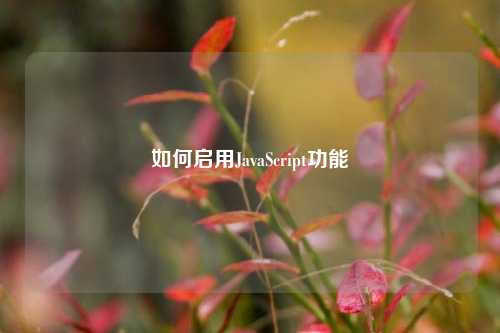 如何启用JavaScript功能