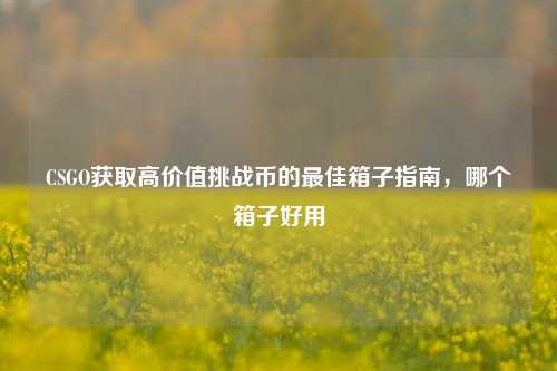 CSGO获取高价值挑战币的最佳箱子指南，哪个箱子好用