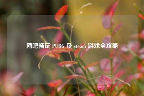 网吧畅玩 PUBG 及 steam 游戏全攻略