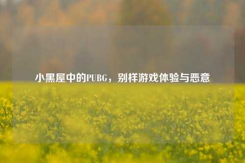小黑屋中的PUBG，别样游戏体验与恶意