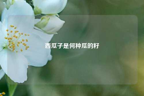西瓜子是何种瓜的籽