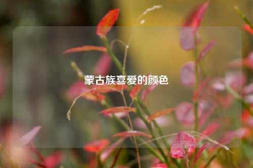 蒙古族喜爱的颜色