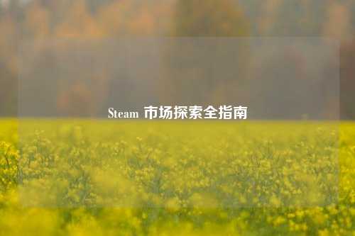 Steam 市场探索全指南