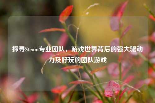 探寻Steam专业团队,游戏世界背后的强大驱动力及好玩的团队游戏