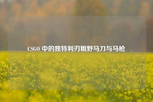 CSGO 中的独特利刃粗野马刀与马枪