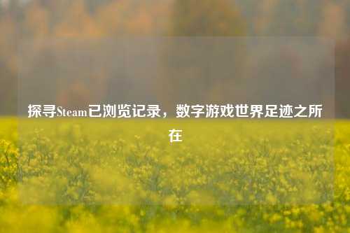 探寻Steam已浏览记录,数字游戏世界足迹之所在