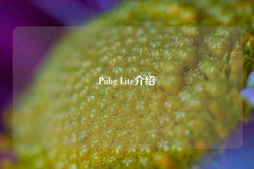Pubg Lite介绍