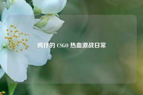 鸡仔的 CSGO 热血激战日常