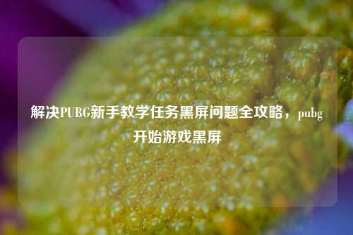 解决PUBG新手教学任务黑屏问题全攻略，pubg开始游戏黑屏