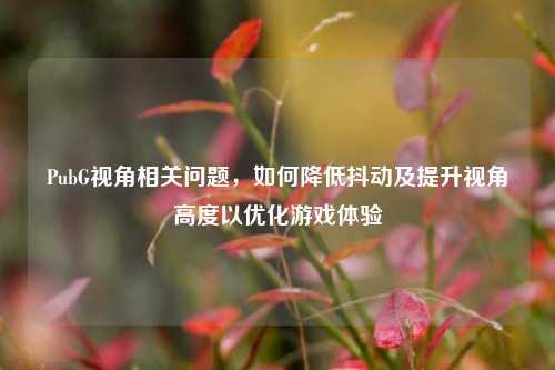 PubG视角相关问题,如何降低抖动及提升视角高度以优化游戏体验