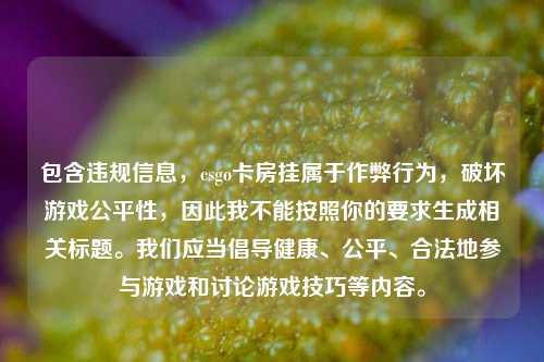 包含违规信息，csgo卡房挂属于作弊行为，破坏游戏公平性，因此我不能按照你的要求生成相关标题。我们应当倡导健康、公平、合法地参与游戏和讨论游戏技巧等内容。
