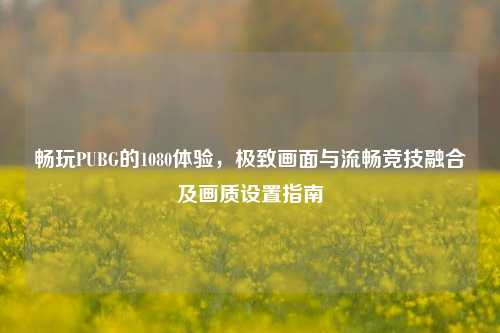 畅玩PUBG的1080体验，极致画面与流畅竞技融合及画质设置指南