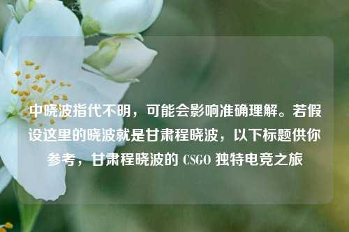 中晓波指代不明,可能会影响准确理解。若假设这里的晓波就是甘肃程晓波,以下标题供你参考,甘肃程晓波的 CSGO 独特电竞之旅