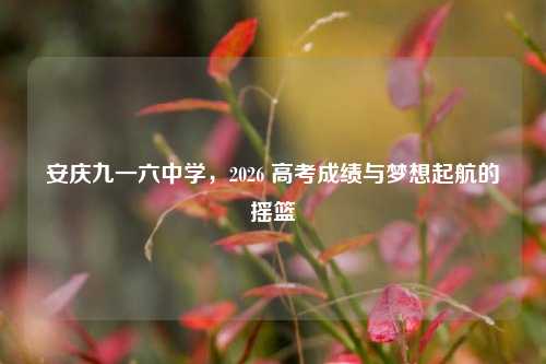 安庆九一六中学，2026 高考成绩与梦想起航的摇篮
