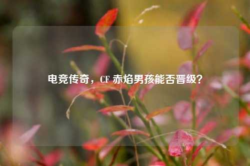 电竞传奇，CF 赤焰男孩能否晋级？