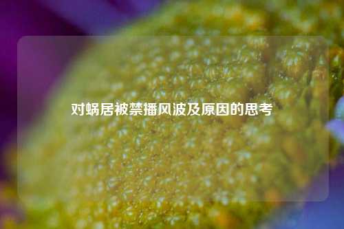 对蜗居被禁播风波及原因的思考