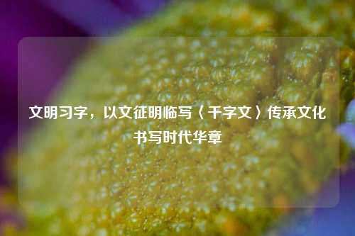 文明习字,以文征明临写〈千字文〉传承文化书写时代华章