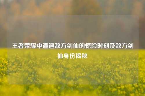 王者荣耀中遭遇敌方剑仙的惊险时刻及敌方剑仙身份揭秘
