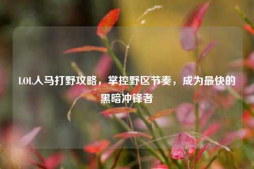 LOL人马打野攻略，掌控野区节奏，成为最快的黑暗冲锋者