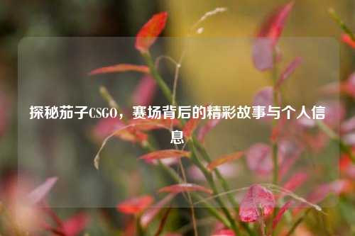 探秘茄子CSGO，赛场背后的精彩故事与个人信息