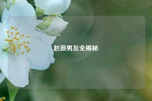 赵薇男友全揭秘
