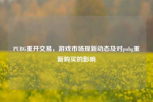 PUBG重开交易,游戏市场现新动态及对pubg重新购买的影响