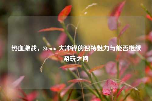 热血激战，Steam 大冲锋的独特魅力与能否继续游玩之问