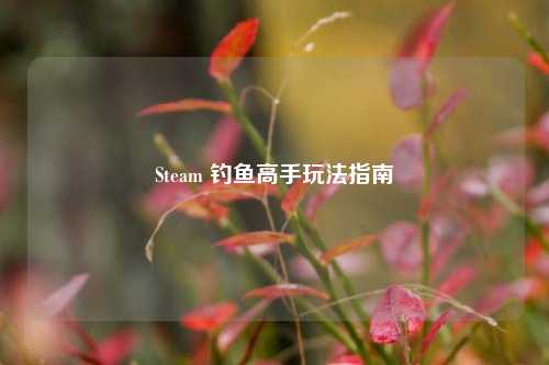 Steam 钓鱼高手玩法指南
