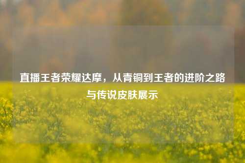 直播王者荣耀达摩，从青铜到王者的进阶之路与传说皮肤展示