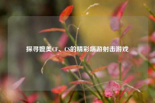 探寻媲美CF、CS的精彩端游射击游戏