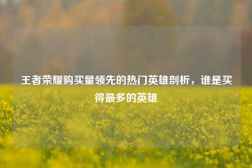 王者荣耀购买量领先的热门英雄剖析，谁是买得最多的英雄