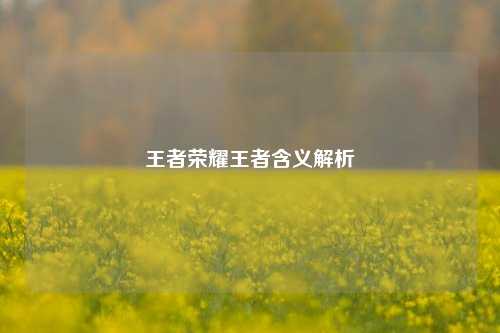 王者荣耀王者含义解析