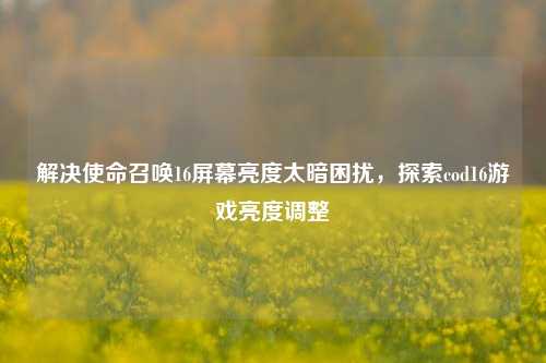 解决使命召唤16屏幕亮度太暗困扰，探索cod16游戏亮度调整