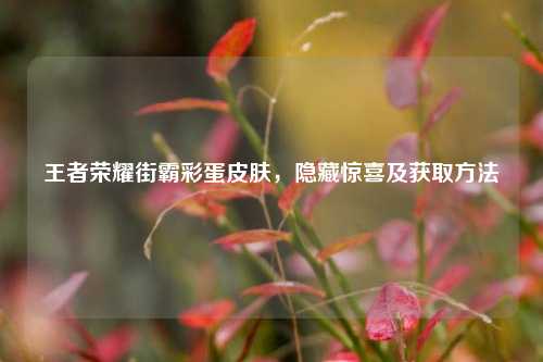 王者荣耀街霸彩蛋皮肤，隐藏惊喜及获取方法