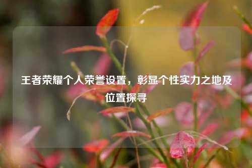 王者荣耀个人荣誉设置，彰显个性实力之地及位置探寻