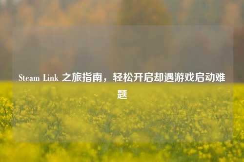 Steam Link 之旅指南，轻松开启却遇游戏启动难题