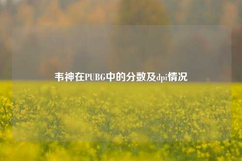 韦神在PUBG中的分数及dpi情况
