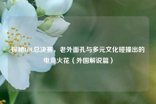 探秘LOL总决赛，老外面孔与多元文化碰撞出的电竞火花（外国解说篇）