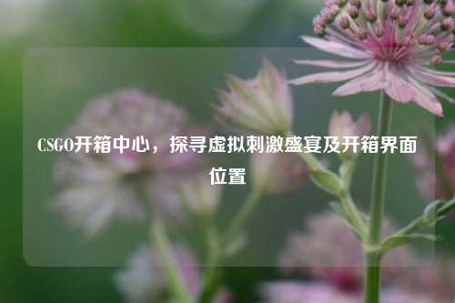 CSGO开箱中心，探寻虚拟刺激盛宴及开箱界面位置